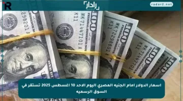 أسعار الدولار أمام الجنيه المصري اليوم الأحد 10 أغسطس 2025 تستقر في السوق الرسمية